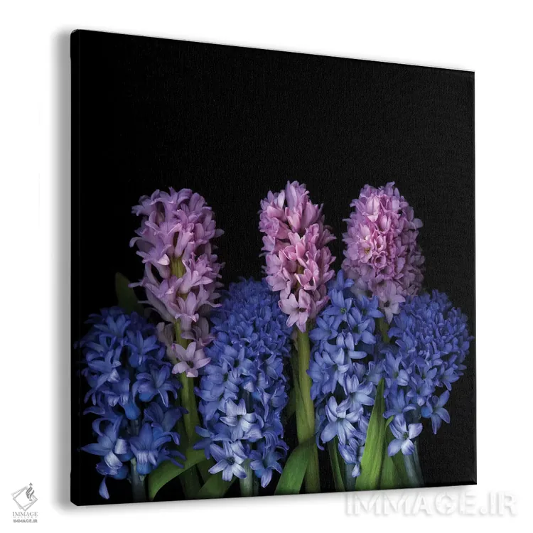 تابلو دکوراتیو سمفونی کوچک اثر مگدا ایندیگو - نمای پرسپکتیو محصول