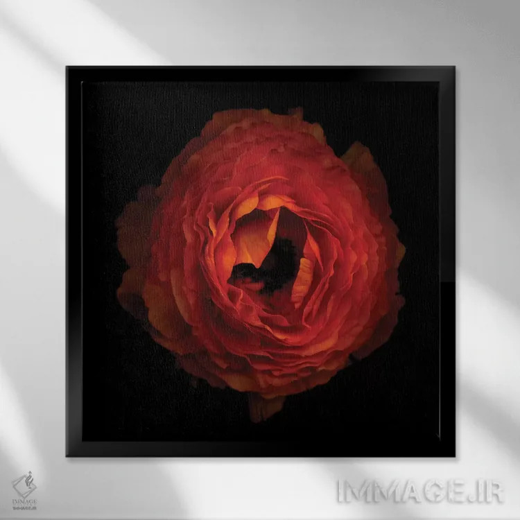 تابلو دکوراتیو گلبرگ های چین خورده اثر مگدا ایندیگو - نمای قابدار مشکی