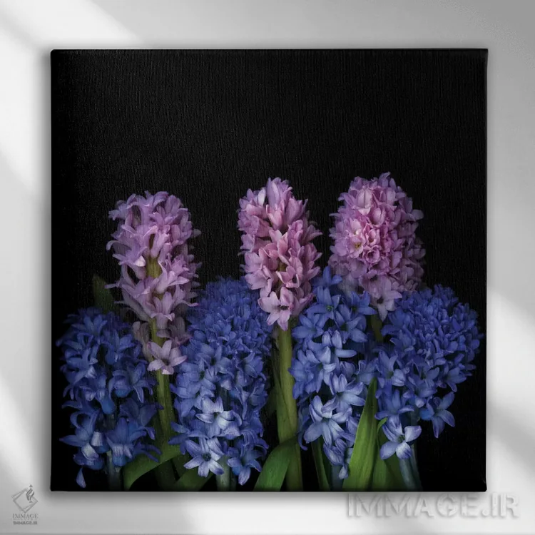 تابلو دکوراتیو سمفونی کوچک اثر مگدا ایندیگو - نمای روبهرو روی دیوار