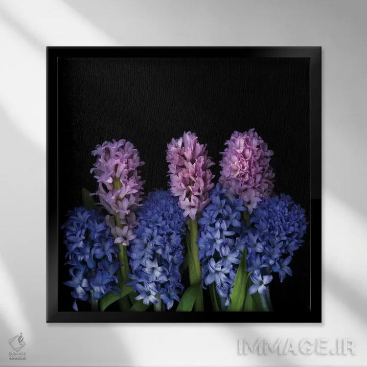 تابلو دکوراتیو سمفونی کوچک اثر مگدا ایندیگو - نمای قابدار مشکی