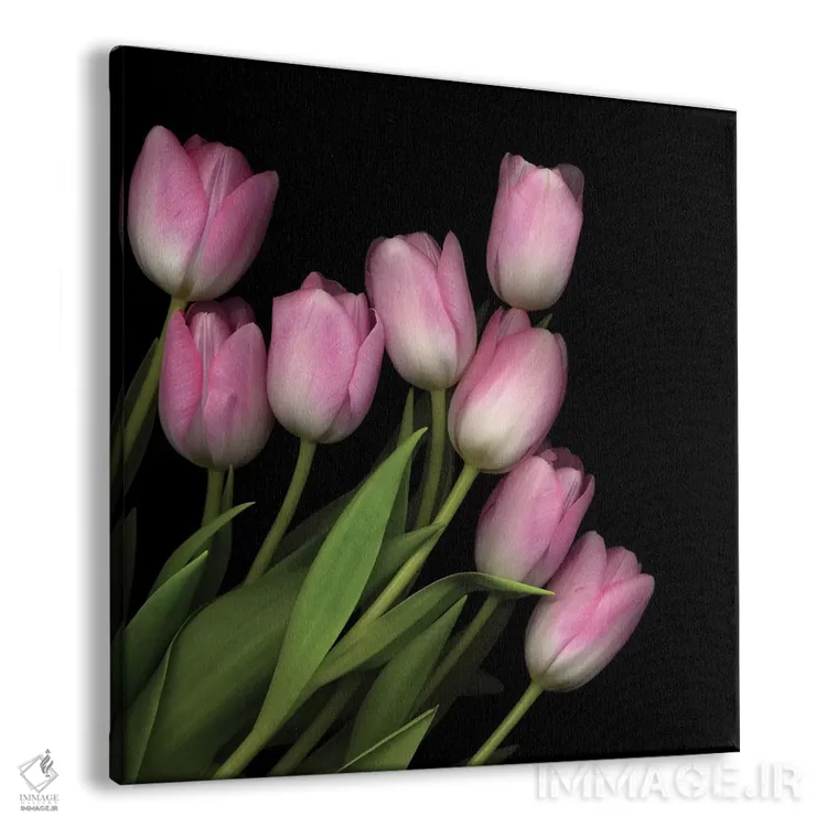 تابلو دکوراتیو صورتی ملایم پاستلی اثر مگدا ایندیگو - نمای پرسپکتیو محصول