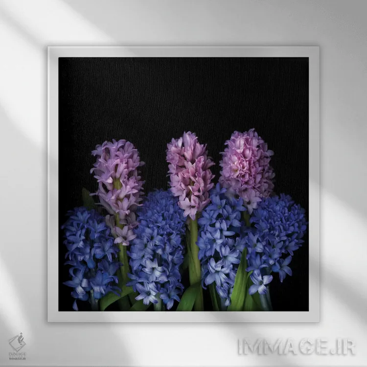 تابلو دکوراتیو سمفونی کوچک اثر مگدا ایندیگو - نمای قابدار سفید