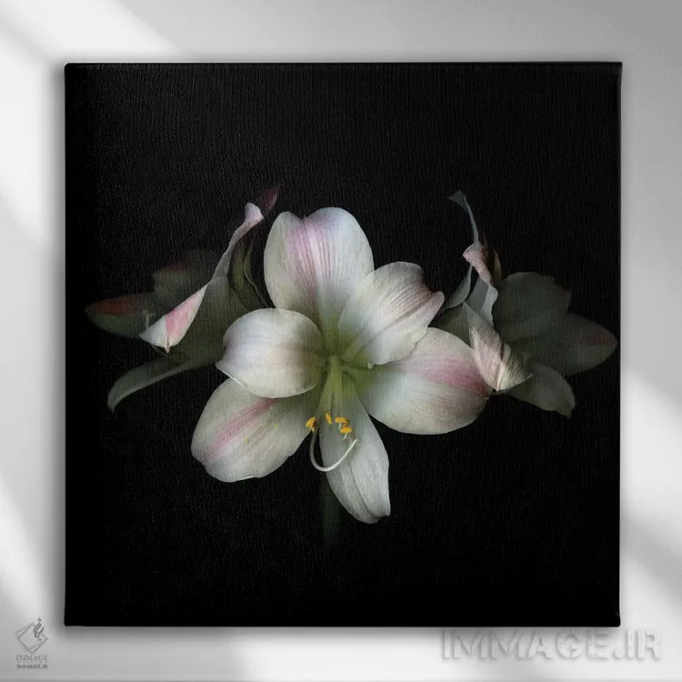 تابلو دکوراتیو ستاره ها در شب اثر مگدا ایندیگو - نمای روبهرو روی دیوار