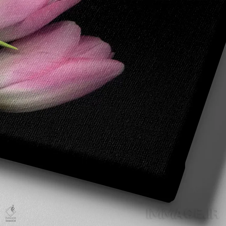 تابلو دکوراتیو صورتی ملایم پاستلی اثر مگدا ایندیگو - نمای نزدیک بافت بوم