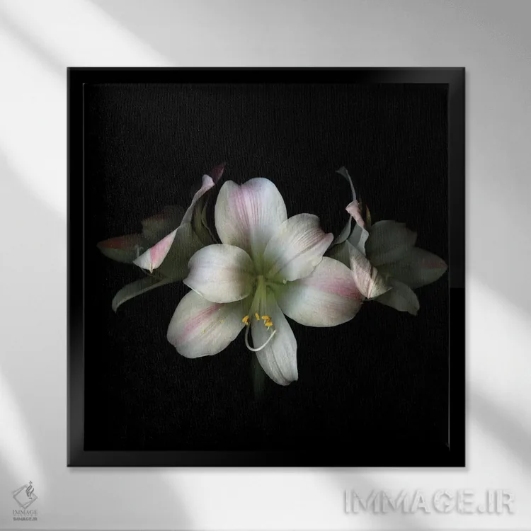 تابلو دکوراتیو ستاره ها در شب اثر مگدا ایندیگو - نمای قابدار مشکی