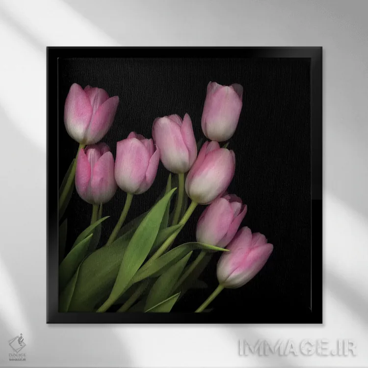 تابلو دکوراتیو صورتی ملایم پاستلی اثر مگدا ایندیگو - نمای قابدار مشکی