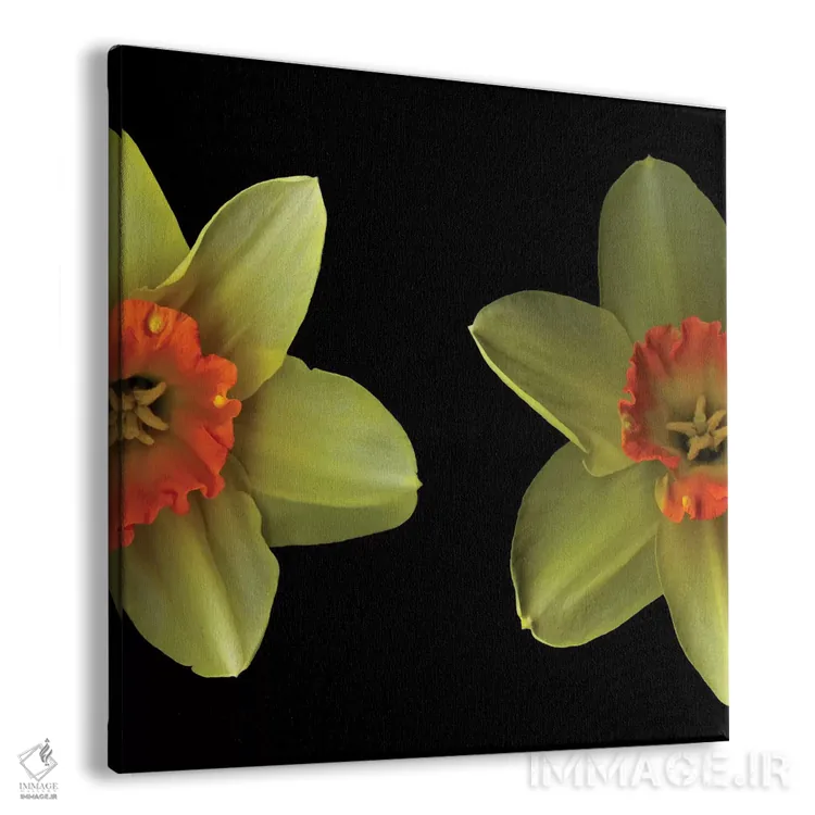 تابلو دکوراتیو رویارویی اثر مگدا ایندیگو - نمای پرسپکتیو محصول