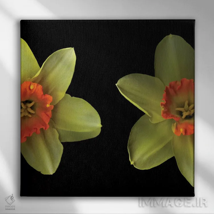 تابلو دکوراتیو رویارویی اثر مگدا ایندیگو - نمای روبهرو روی دیوار