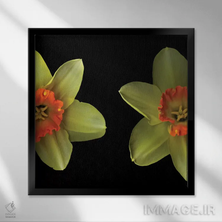 تابلو دکوراتیو رویارویی اثر مگدا ایندیگو - نمای قابدار مشکی