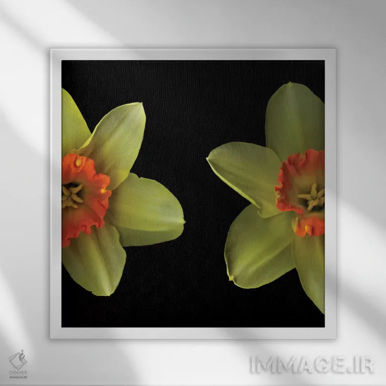 تابلو دکوراتیو رویارویی اثر مگدا ایندیگو - نمای قابدار سفید