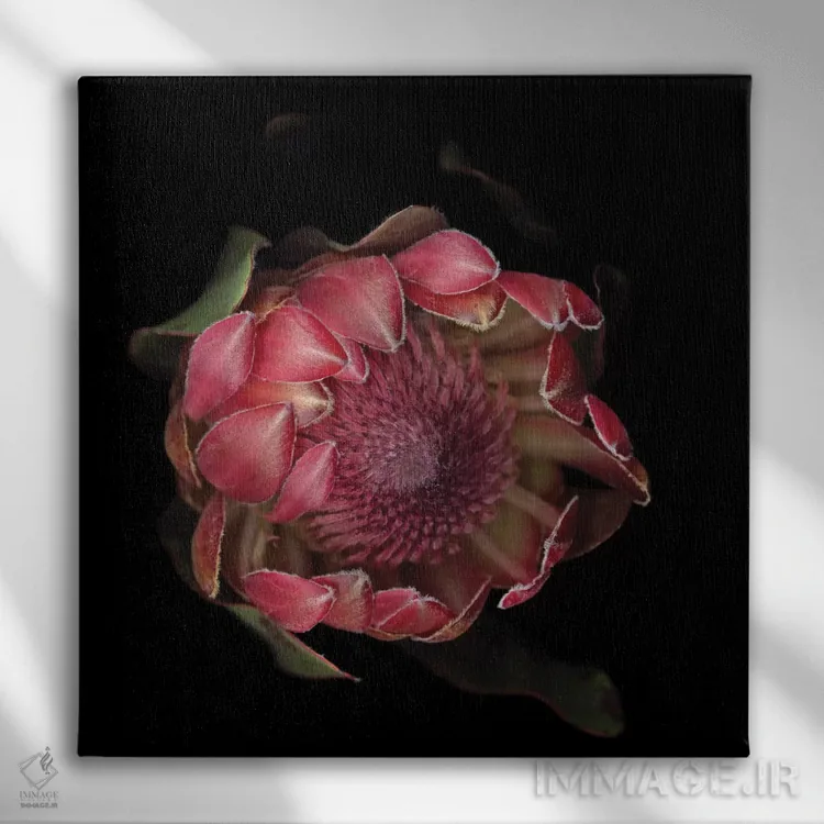 تابلو دکوراتیو شکوه پروتیا اثر مگدا ایندیگو - نمای روبهرو روی دیوار