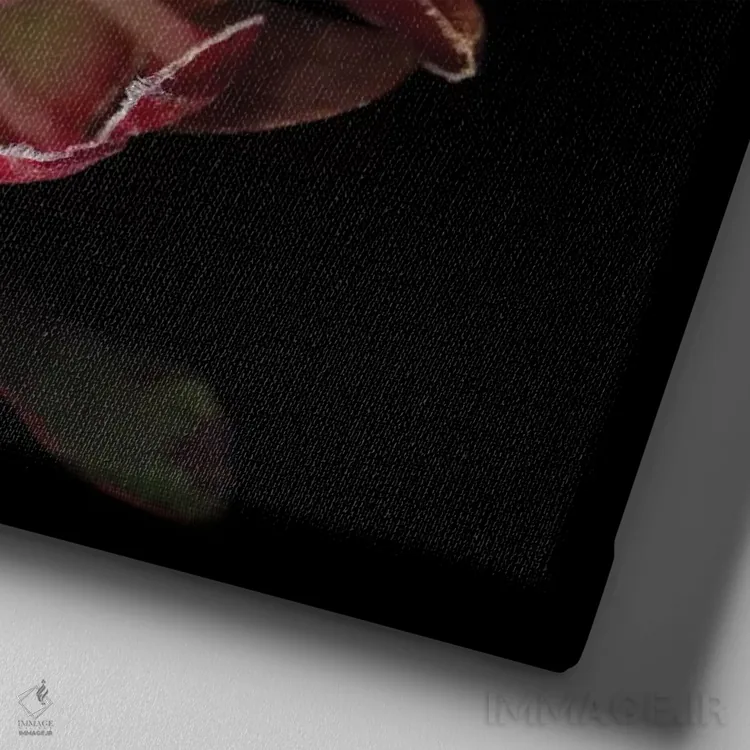 تابلو دکوراتیو شکوه پروتیا اثر مگدا ایندیگو - نمای نزدیک بافت بوم