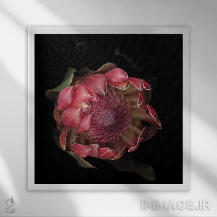 تابلو دکوراتیو شکوه پروتیا اثر مگدا ایندیگو - نمای قابدار سفید