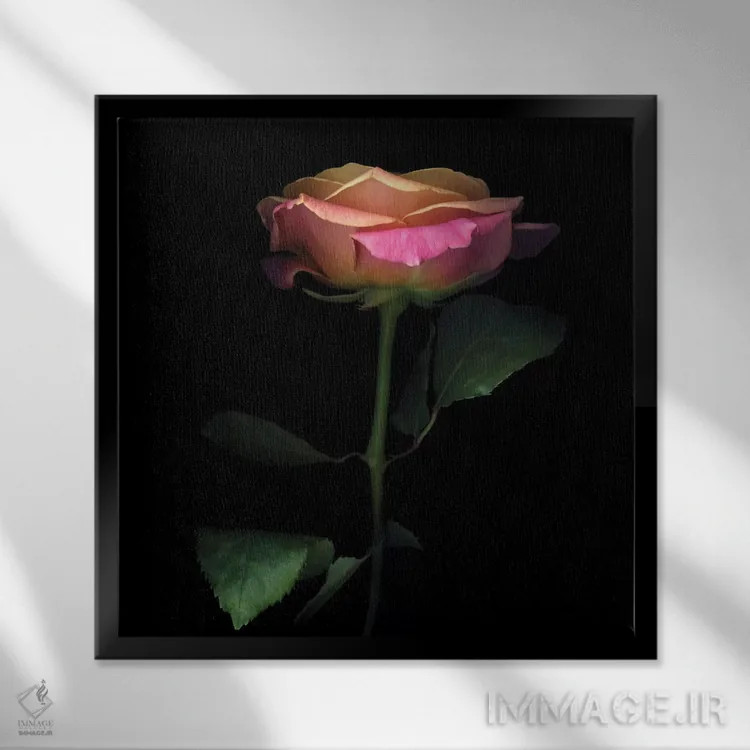 تابلو دکوراتیو رز درخشان اثر مگدا ایندیگو - نمای قابدار مشکی