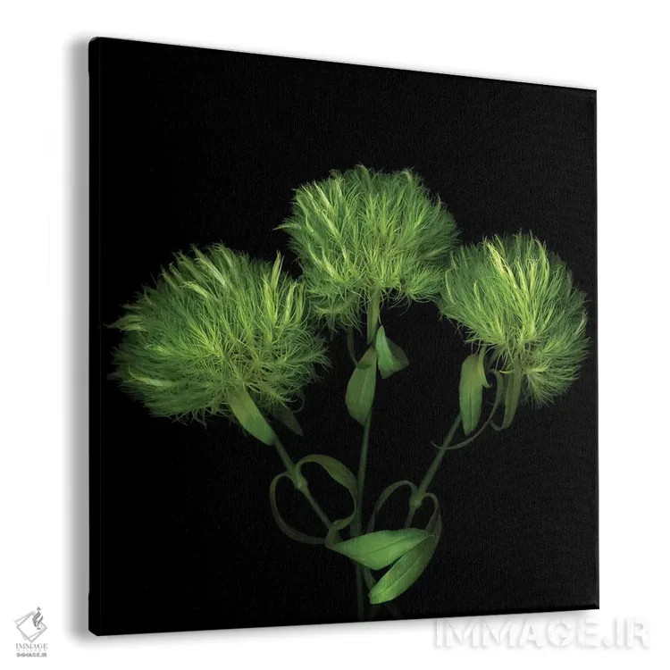 تابلو دکوراتیو تیدلی-ام-پام-پام اثر مگدا ایندیگو - نمای پرسپکتیو محصول