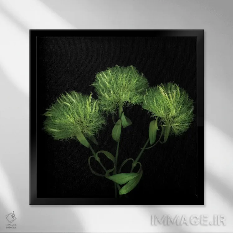 تابلو دکوراتیو تیدلی-ام-پام-پام اثر مگدا ایندیگو - نمای قابدار مشکی