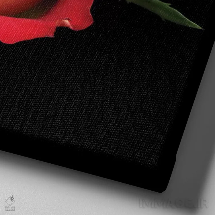 تابلو دکوراتیو بوسه رز اثر مگدا ایندیگو - نمای نزدیک بافت بوم
