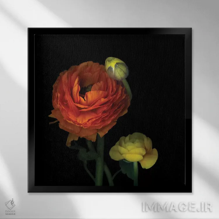 تابلو دکوراتیو شقایق آفتابی اثر مگدا ایندیگو - نمای قابدار مشکی