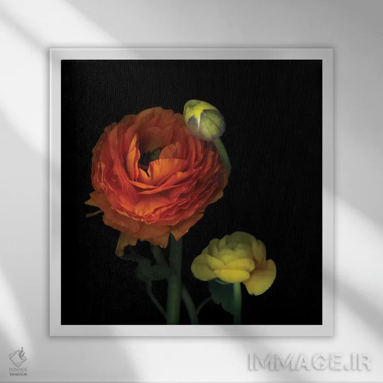 تابلو دکوراتیو شقایق آفتابی اثر مگدا ایندیگو - نمای قابدار سفید