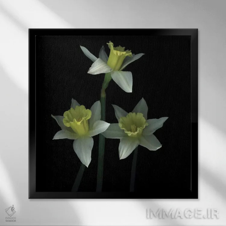 تابلو دکوراتیو سه نفره ترومپت ها اثر مگدا ایندیگو - نمای قابدار مشکی