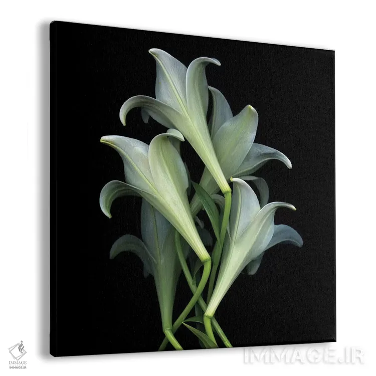 تابلو دکوراتیو دوباره برمی خیزیم اثر مگدا ایندیگو - نمای پرسپکتیو محصول