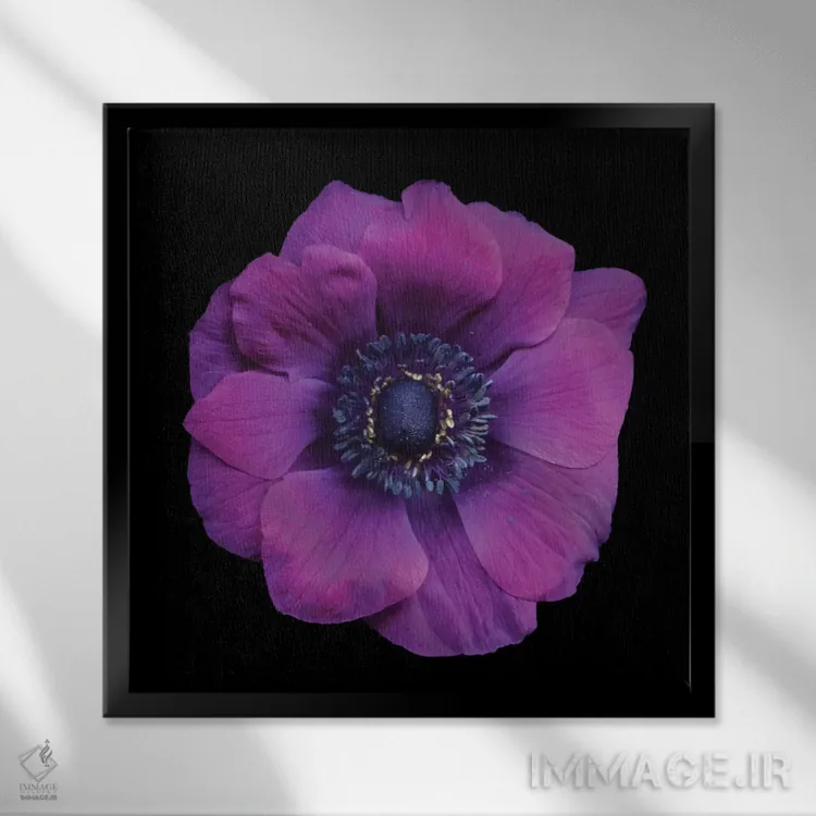 تابلو دکوراتیو ویواچه اثر مگدا ایندیگو - نمای قابدار مشکی