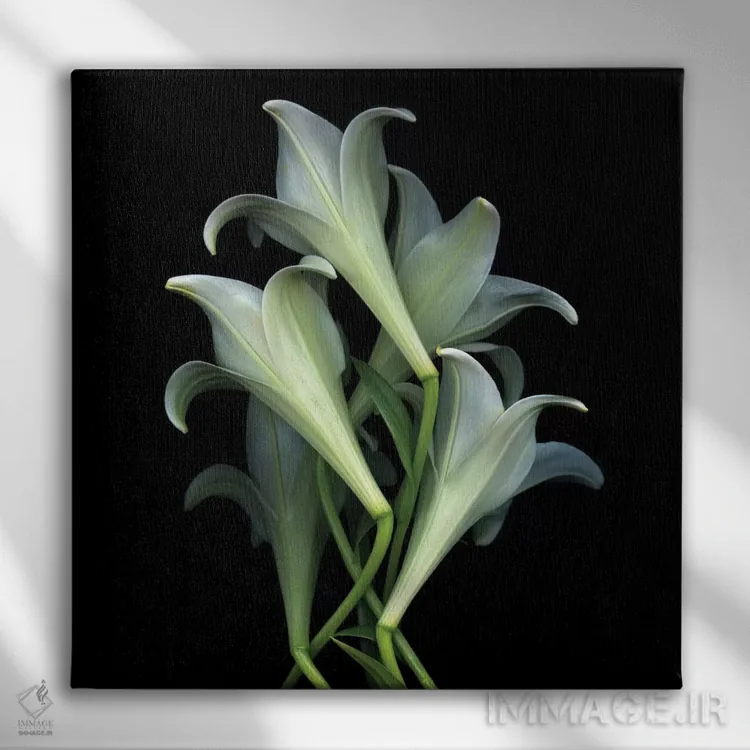 تابلو دکوراتیو دوباره برمی خیزیم اثر مگدا ایندیگو - نمای روبهرو روی دیوار