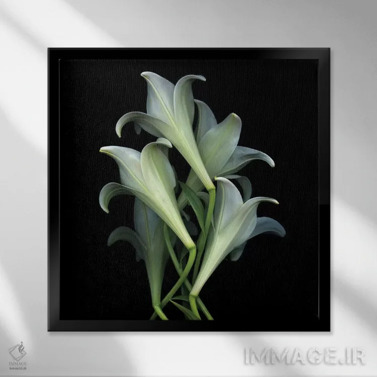 تابلو دکوراتیو دوباره برمی خیزیم اثر مگدا ایندیگو - نمای قابدار مشکی