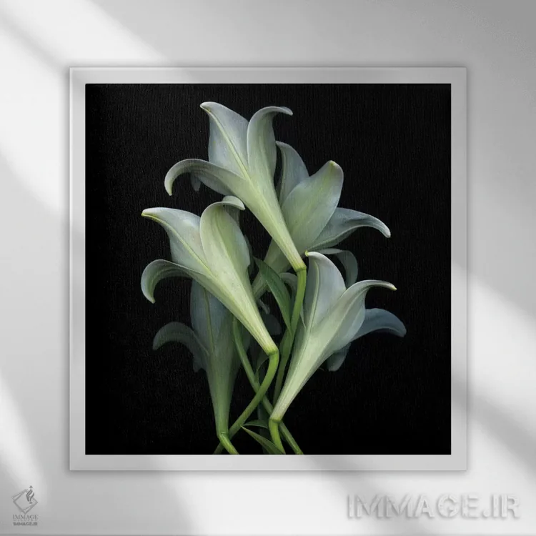 تابلو دکوراتیو دوباره برمی خیزیم اثر مگدا ایندیگو - نمای قابدار سفید