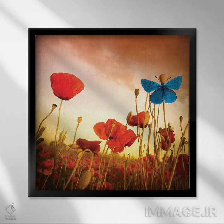 تابلو دکوراتیو رویای شقایق ها اثر مارکو کارماسی - نمای قابدار مشکی