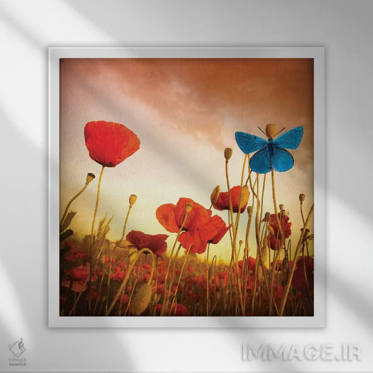 تابلو دکوراتیو رویای شقایق ها اثر مارکو کارماسی - نمای قابدار سفید