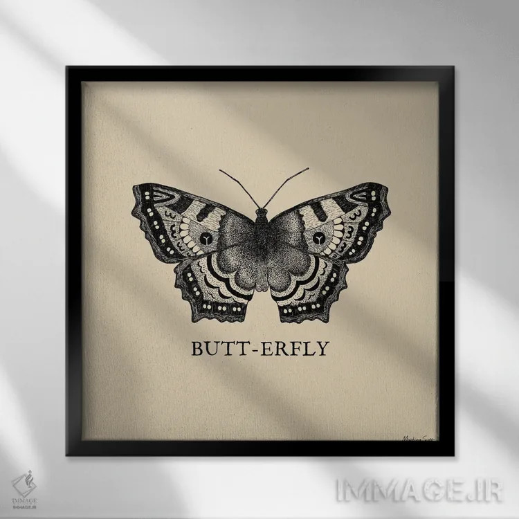 تابلو مدرن پروانه فانتزی اثر مارتینا اسکات - نمای قابدار مشکی