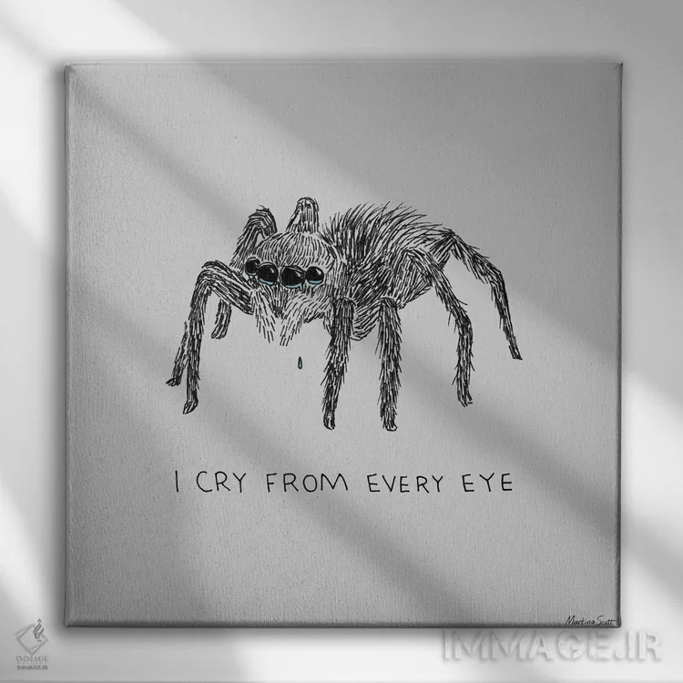 تابلو مدرن گریه از هر چشم اثر مارتینا اسکات - نمای روبهرو روی دیوار