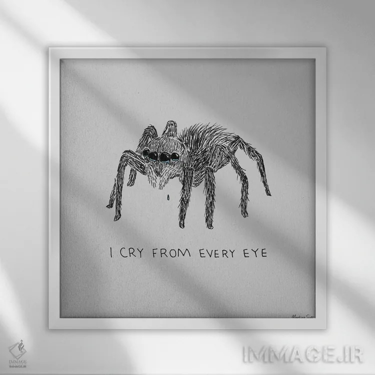تابلو مدرن گریه از هر چشم اثر مارتینا اسکات - نمای قابدار سفید
