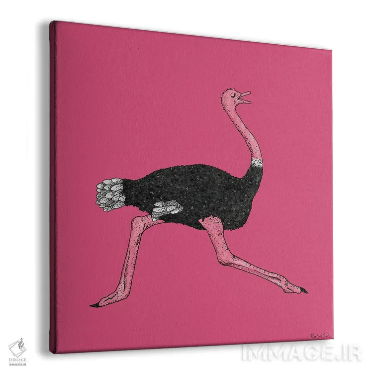 تابلو مدرن شترمرغ اثر مارتینا اسکات - نمای پرسپکتیو محصول