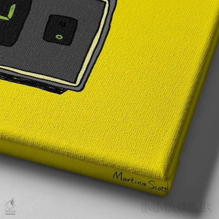 تابلو مدرن قورباغه مهمانی اثر مارتینا اسکات - نمای نزدیک بافت بوم