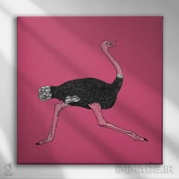 تابلو مدرن شترمرغ اثر مارتینا اسکات - نمای روبهرو روی دیوار