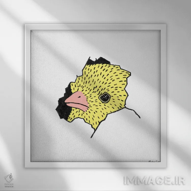 تابلو مدرن جوجه اینجاست! اثر مارتینا اسکات - نمای قابدار سفید