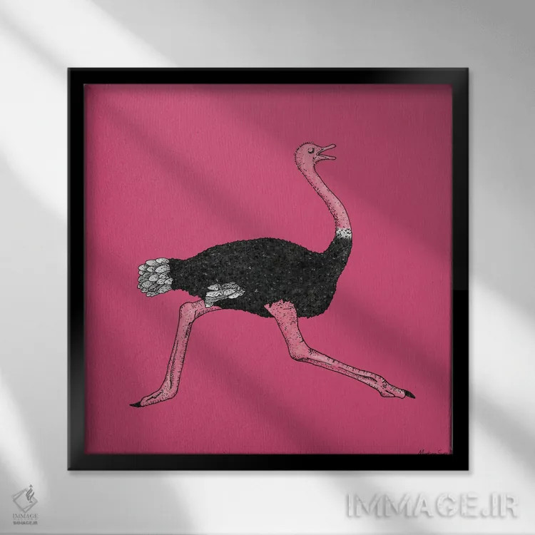 تابلو مدرن شترمرغ اثر مارتینا اسکات - نمای قابدار مشکی