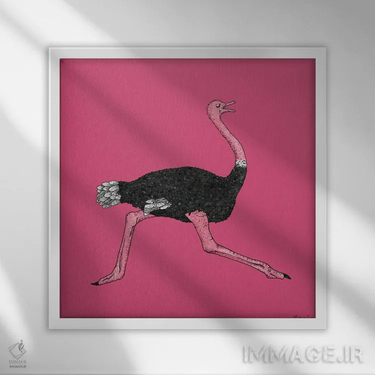 تابلو مدرن شترمرغ اثر مارتینا اسکات - نمای قابدار سفید