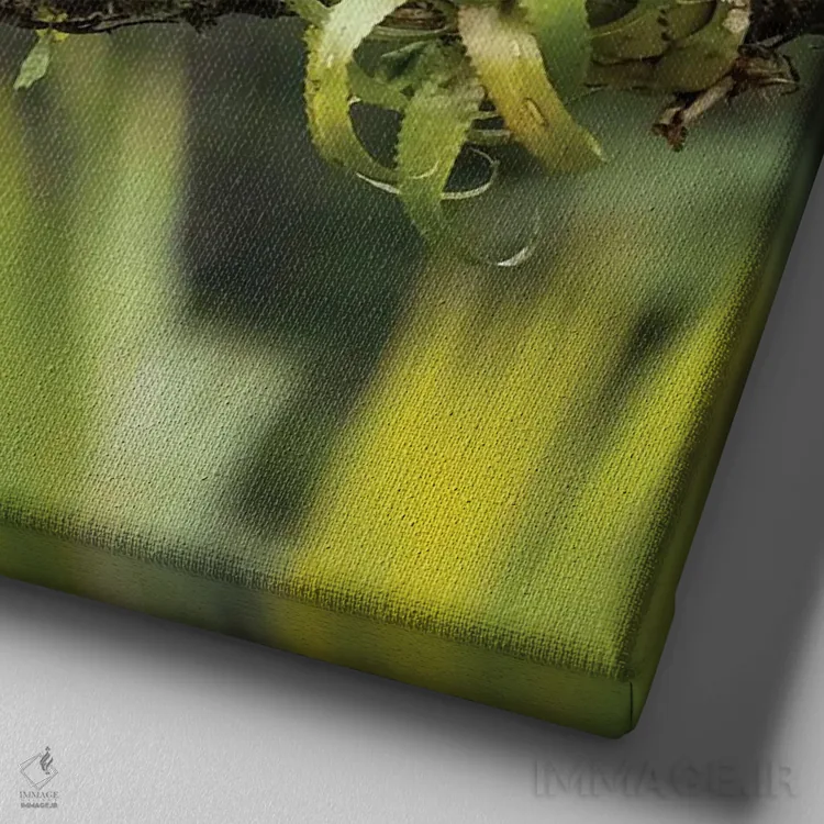 تابلو دکوراتیو طوطی سرقهوه ای، کاستاریکا اثر جو و مری ان مک دونالد - نمای نزدیک بافت بوم