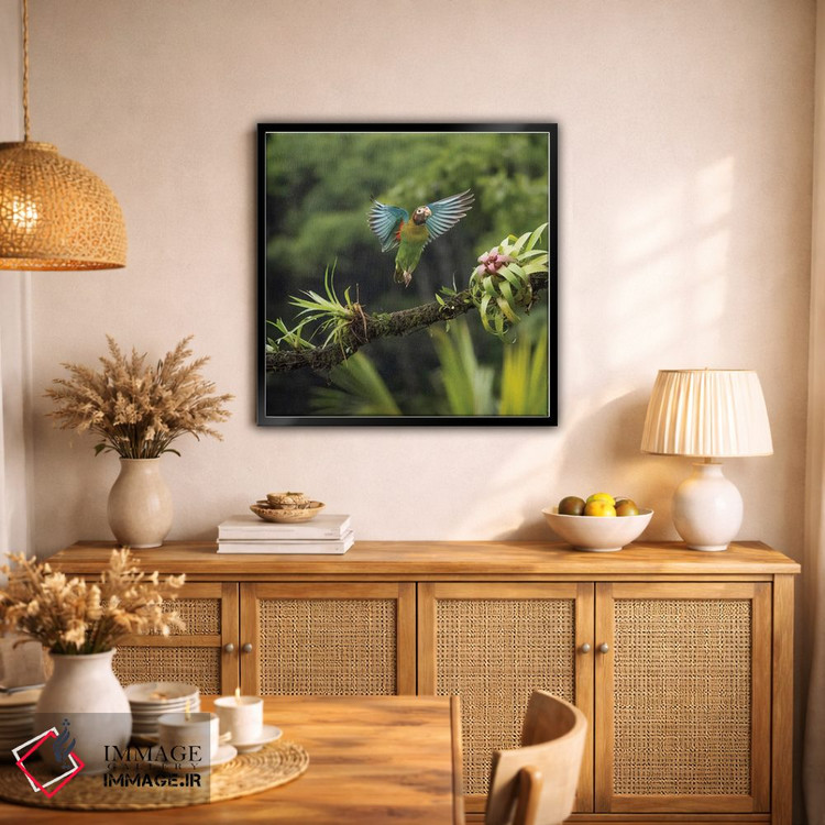 تابلو دکوراتیو طوطی سرقهوه ای، کاستاریکا اثر جو و مری ان مک دونالد - D2B
