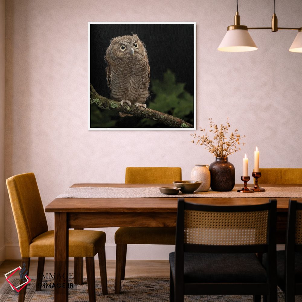 تابلو دکوراتیو جغد شرقی کوچک، پنسیلوانیای مرکزی اثر جو و مری ان مک دونالد - D3W