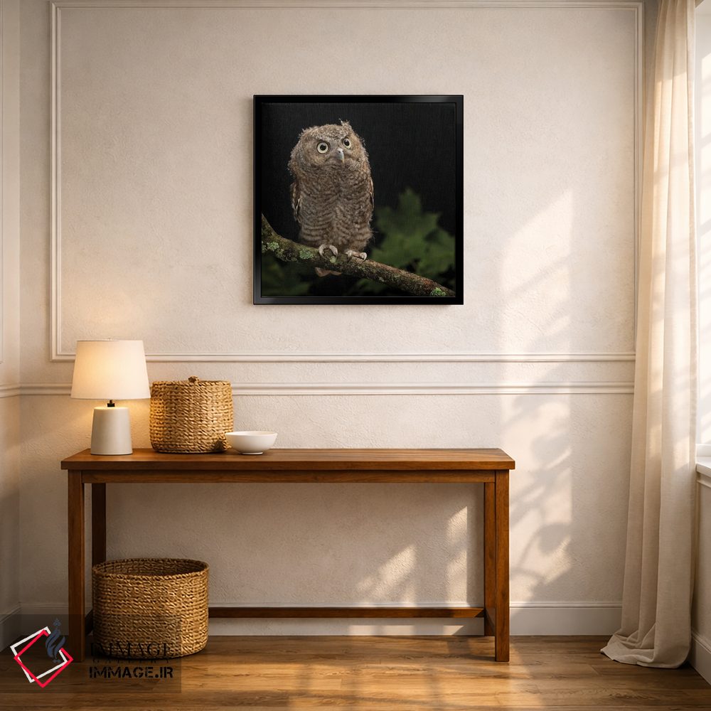 تابلو دکوراتیو جغد شرقی کوچک، پنسیلوانیای مرکزی اثر جو و مری ان مک دونالد - D5B