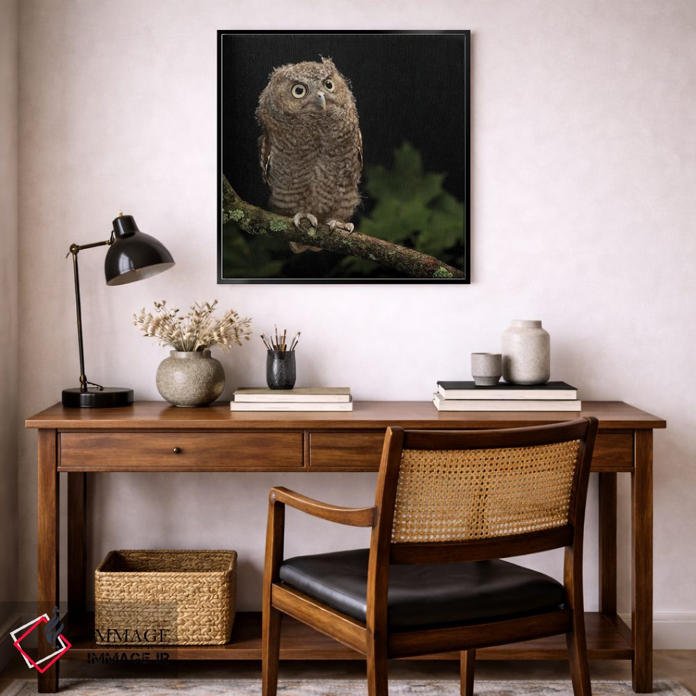 تابلو دکوراتیو جغد شرقی کوچک، پنسیلوانیای مرکزی اثر جو و مری ان مک دونالد - D6B