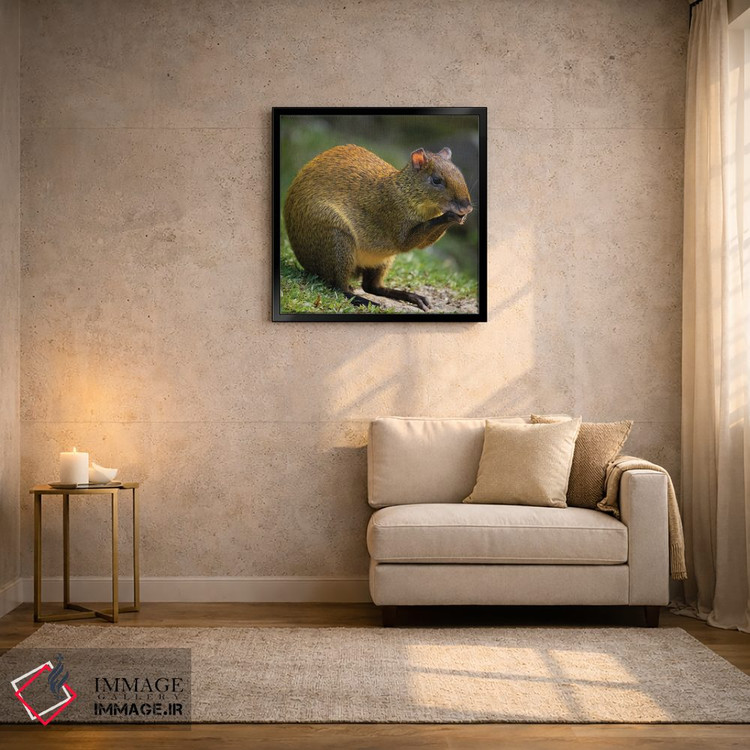 تابلو دکوراتیو آگوتی آمریکای مرکزی، بوسکه دل پاس، کاستاریکا اثر جو و مری ان مک دونالد - D3B