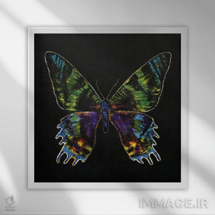 تابلو دکوراتیو پروانه غروب ماداگاسکار اثر مایکل کریس - نمای قابدار سفید