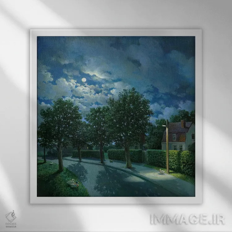 تابلو دکوراتیو شب اردک ها اثر مایکل سووا - نمای قابدار سفید