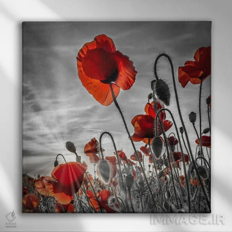 تابلو دکوراتیو شقایق های جذاب با رنگ بندی خاص اثر ملانی ویولا - نمای روبهرو روی دیوار