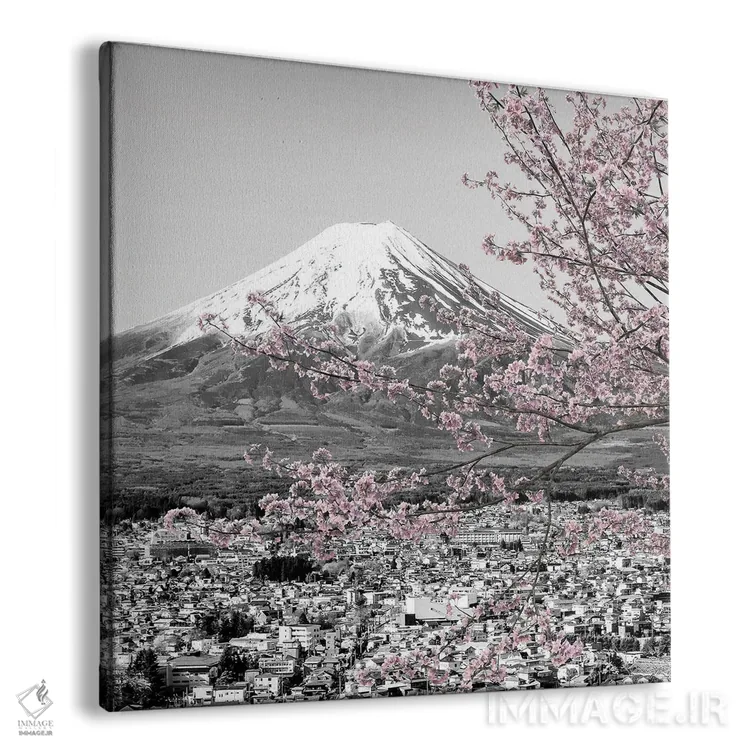 تابلو دکوراتیو منظره دل انگیز فوجی در فصل شکوفه های گیلاس اثر ملانی ویولا - نمای پرسپکتیو محصول